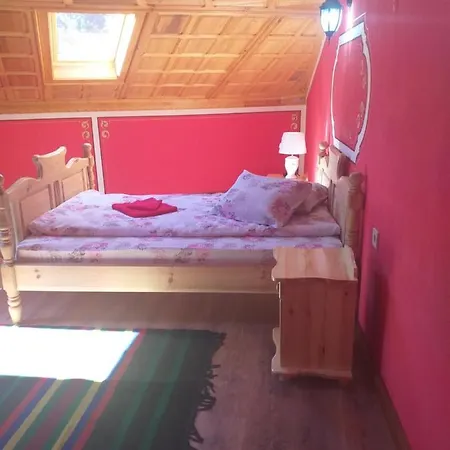 за гости дончо войвода