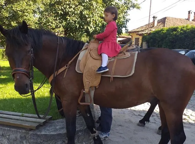 за гости дончо войвода Kopriwsztica