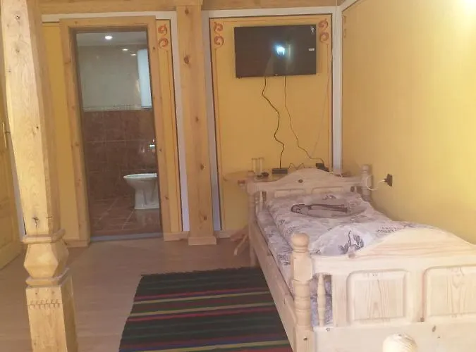 за гости дончо войвода Kopriwsztica