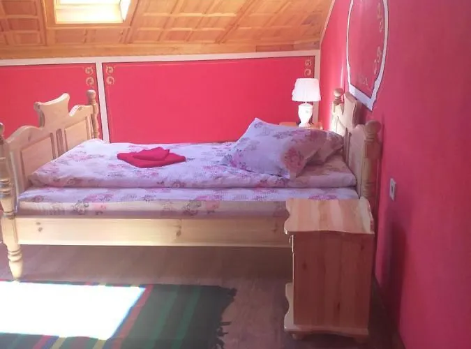 за гости дончо войвода