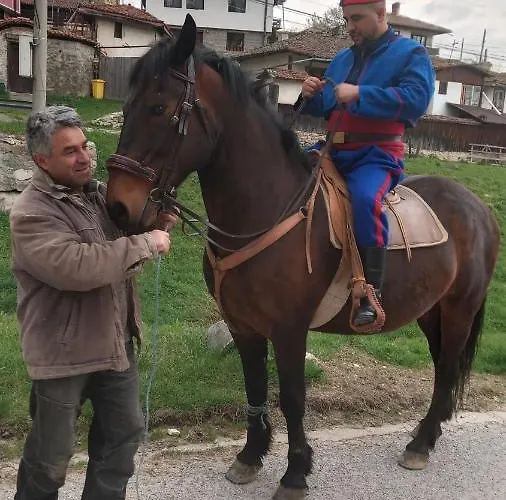 Pensjonat за гости дончо войвода