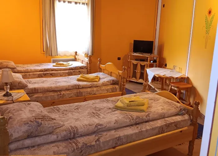 Pensjonat за гости дончо войвода 3*