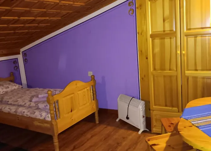 Pensjonat за гости дончо войвода Kopriwsztica