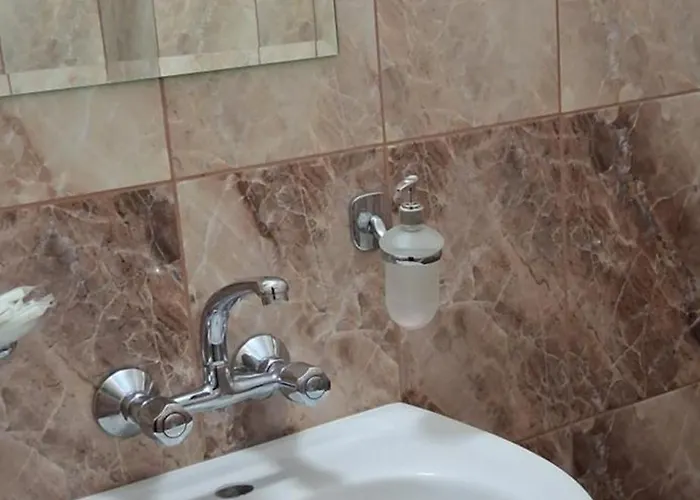 за гости дончо войвода Kopriwsztica