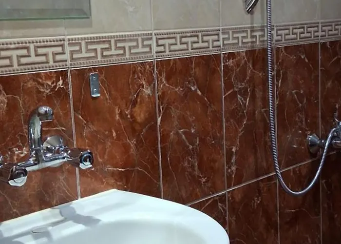 за гости дончо войвода